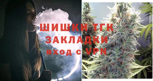 гидра Краснослободск