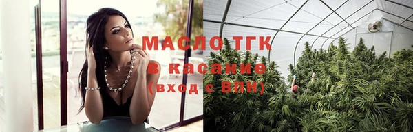 гидра Краснослободск