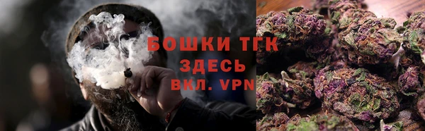 гидра Краснослободск