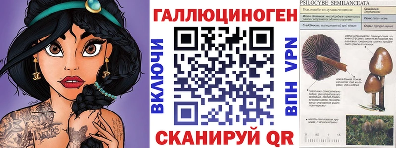 Галлюциногенные грибы Psilocybe  Купить закладки  Миньяр 